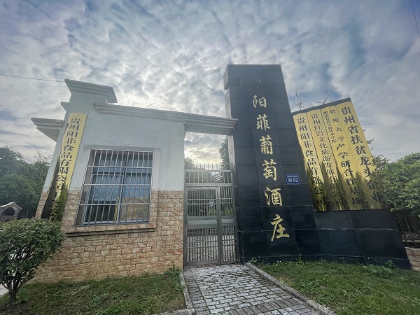 陽(yáng)菲葡萄酒莊